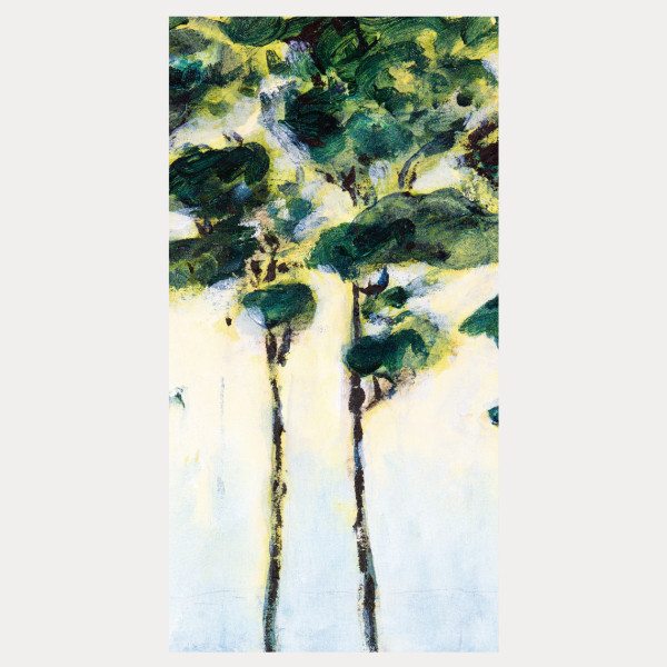 Rideau Pins parasols