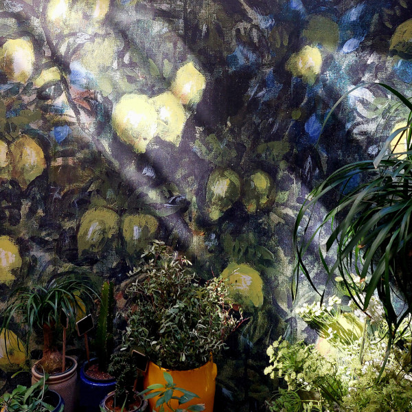 Limones-Juju en aparté