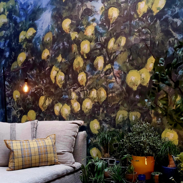 Limones-Juju en aparté