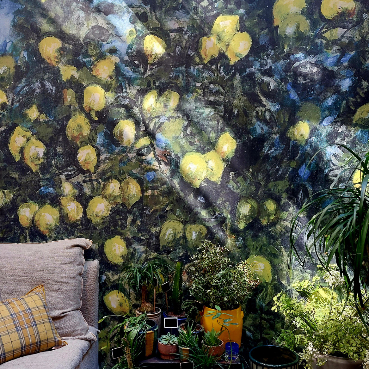 Limones-Juju en aparté