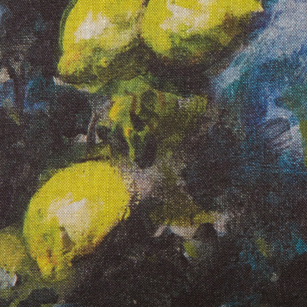 Housse Limones