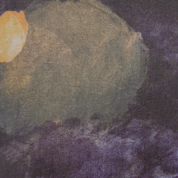 Housse Clair de lune