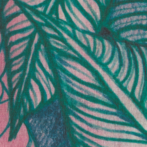 Calathéa cover