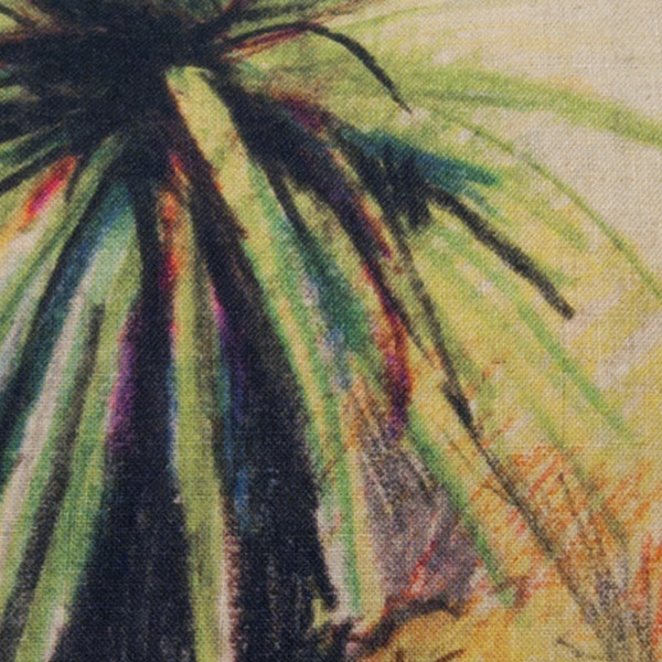 Cactées cover