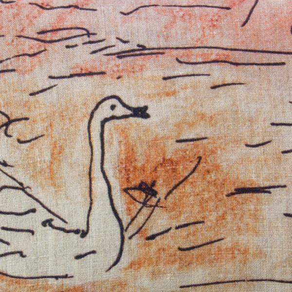 Cygne cover