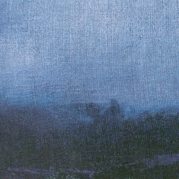 Housse Horizon de brume