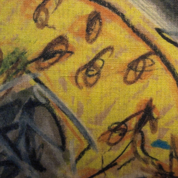 Léopards cover