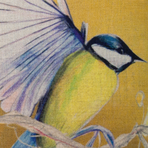 Mésange ocre cover