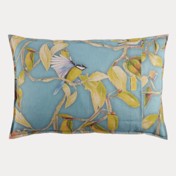 Cime bleu sham