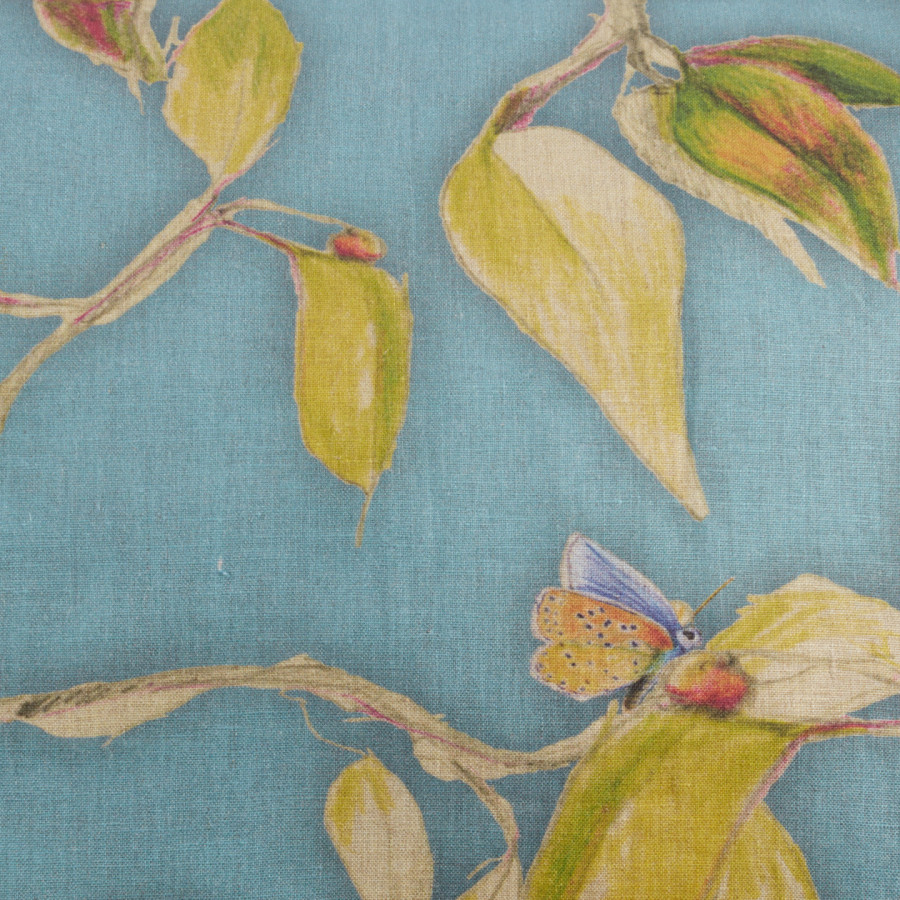 Cime bleu sham