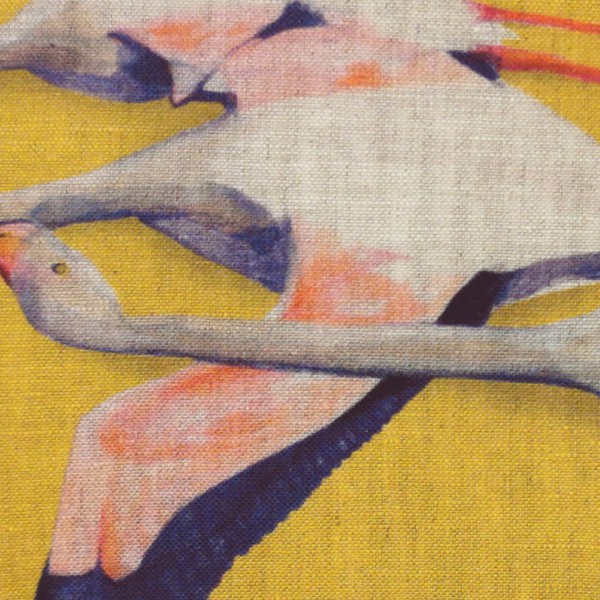 Flamingos jaune cover
