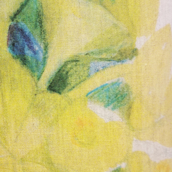 Euphorbia cover