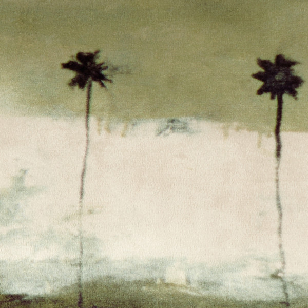 Deux palmiers cover