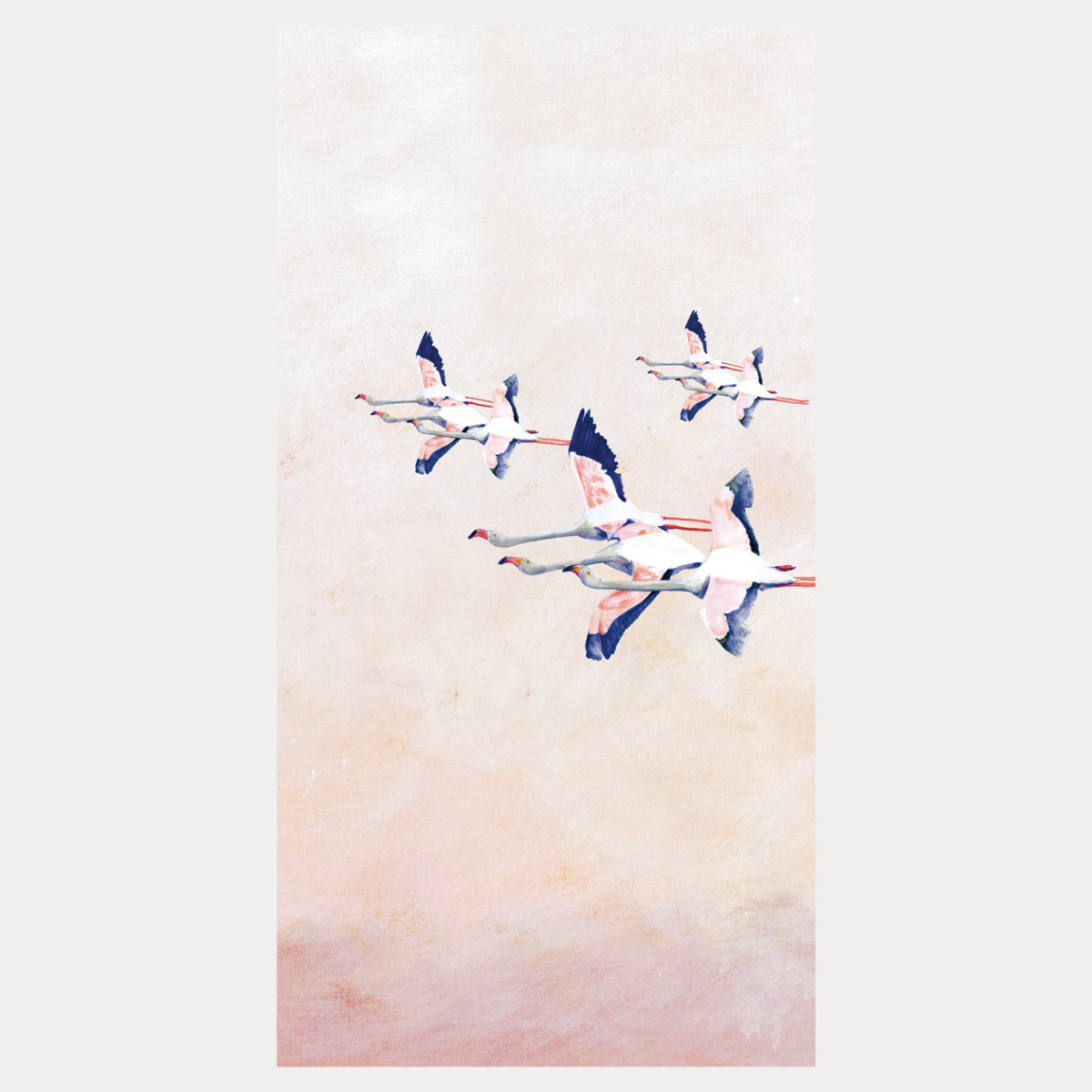 Rideau Flamingos rose