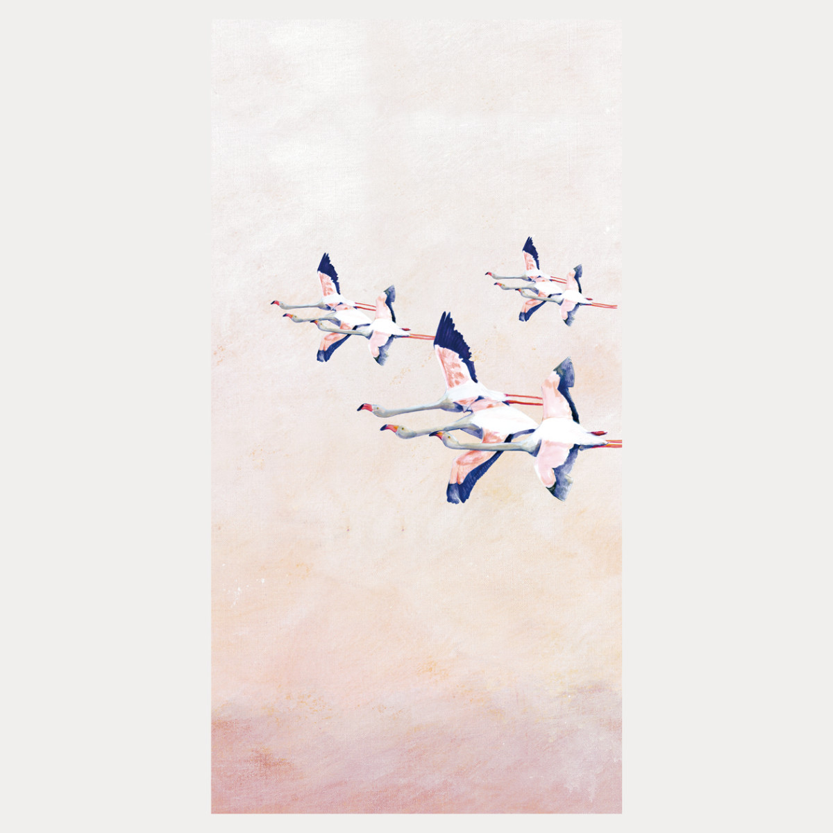 Rideau Flamingos