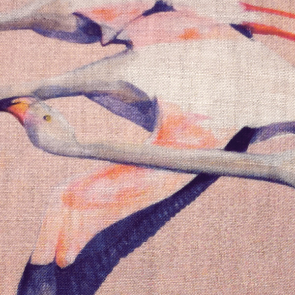 Curtain Flamingos rose