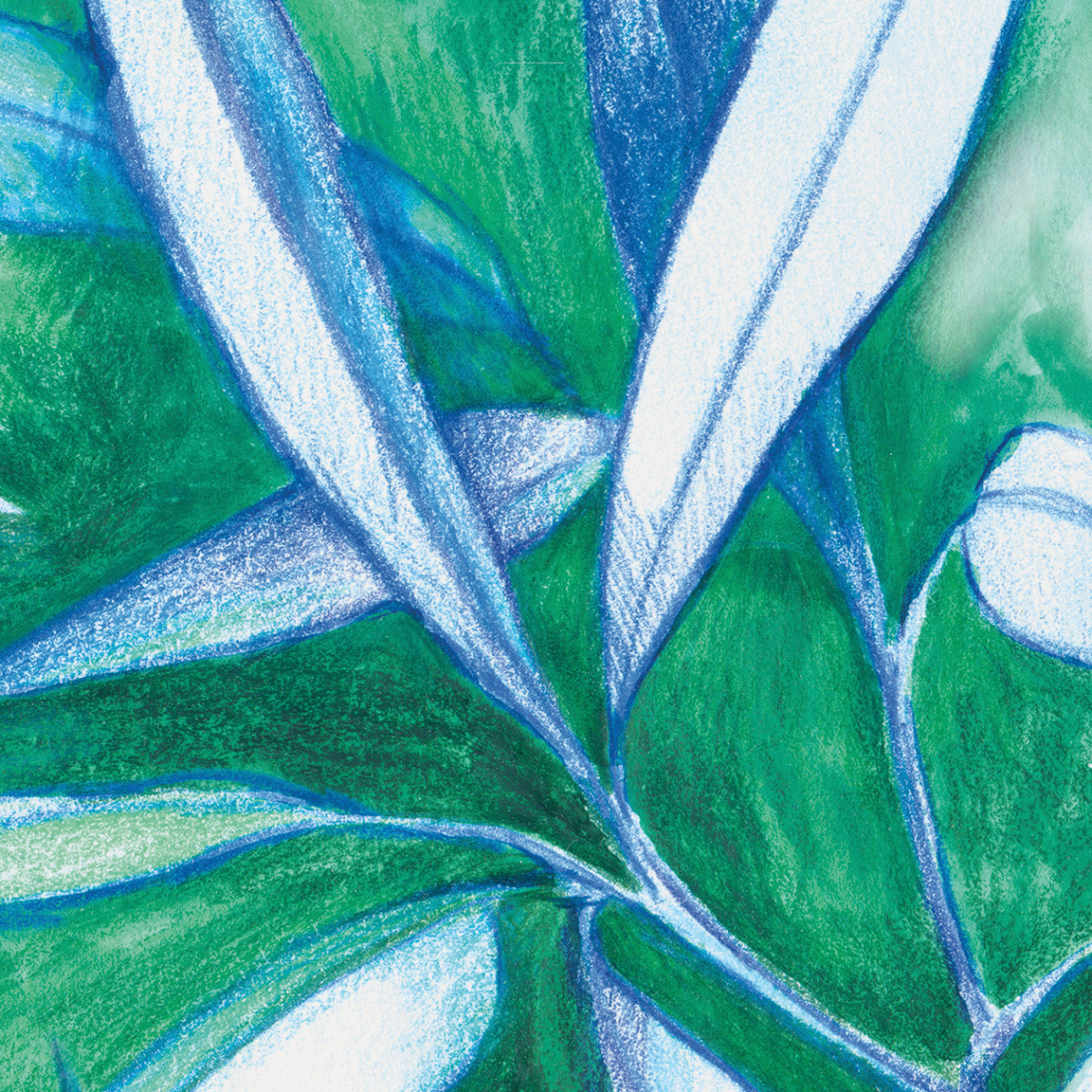 Rouleau Eucalyptus