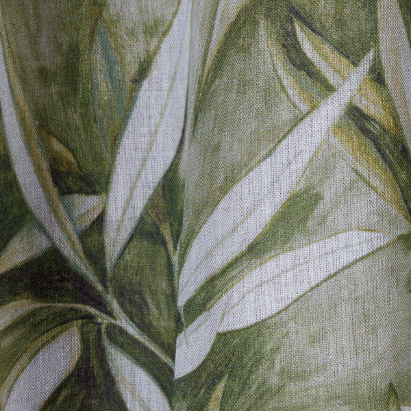 Eucalyptus-col.bronze Eucalyptus-col.bronze
