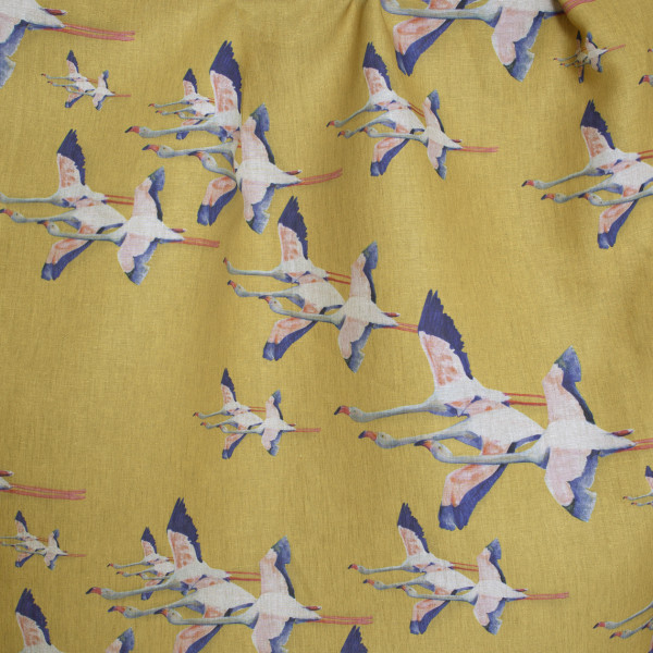 Flamingos-col.jaune