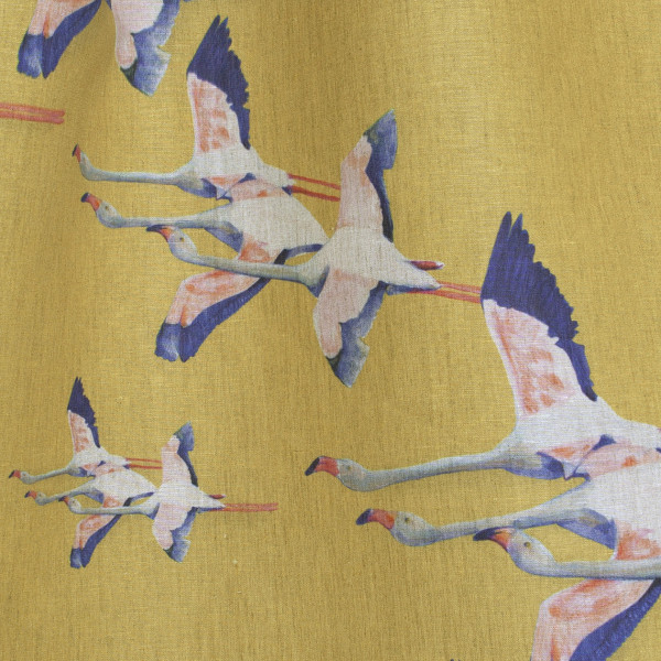 Flamingos-col.jaune