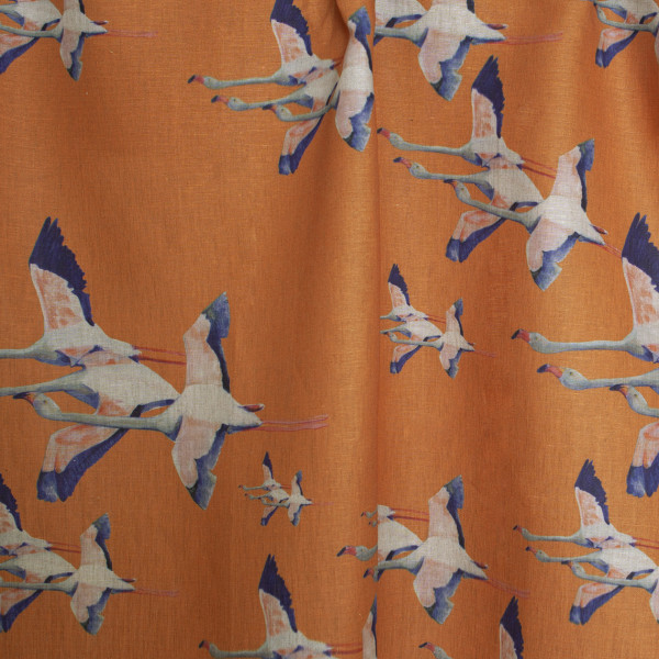 Flamingos-col.orange