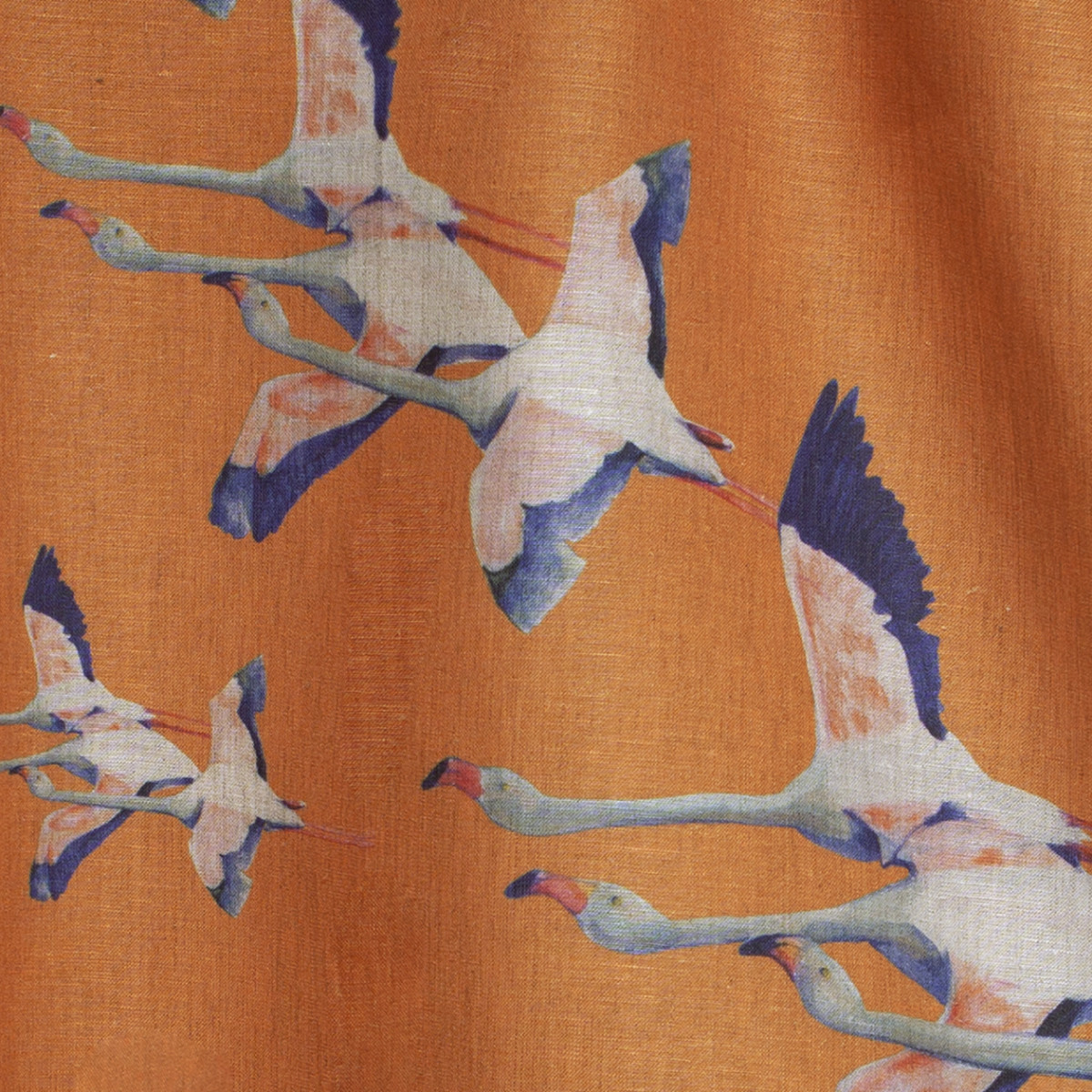 Flamingos-col.orange