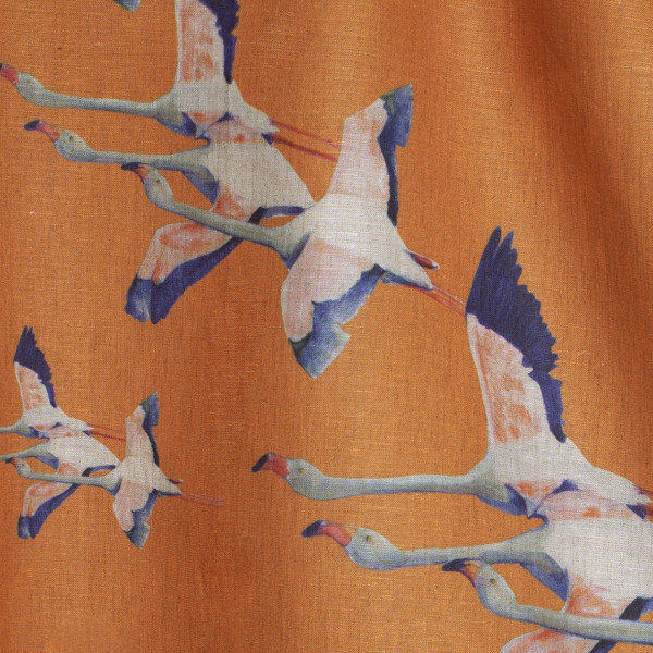 Flamingos-col.orange Flamingos-col.orange