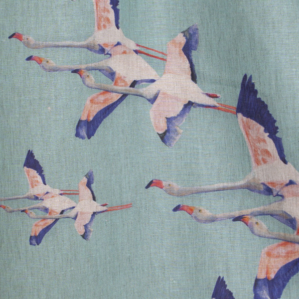 Flamingos-col.vert de gris Flamingos-col.vert de gris