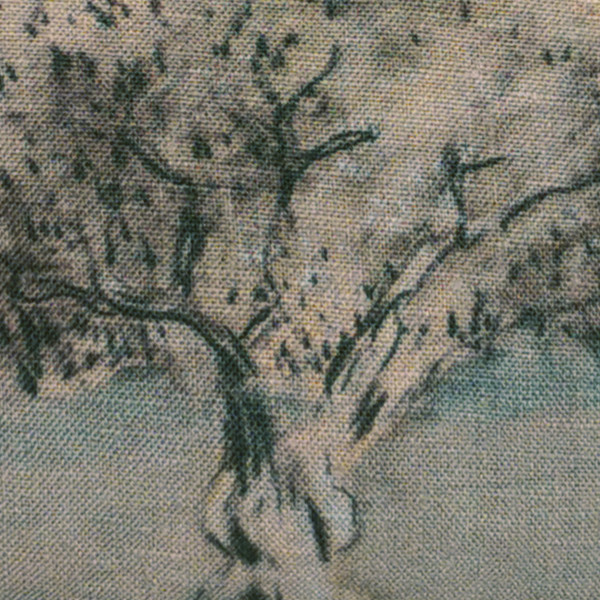 Pochette El olivo