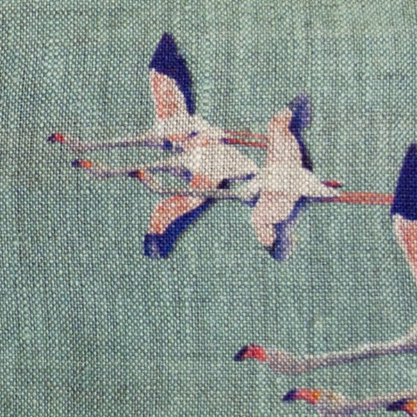 Flamingos-col.vert de gris