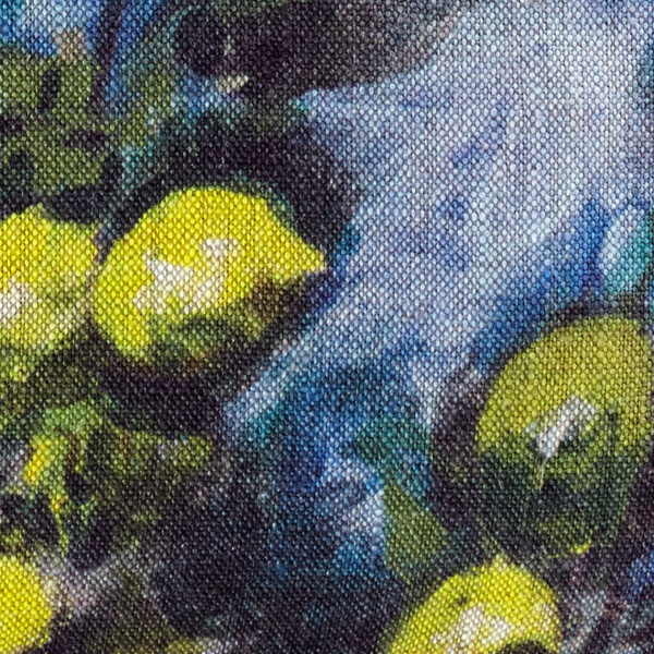 Limones pouch