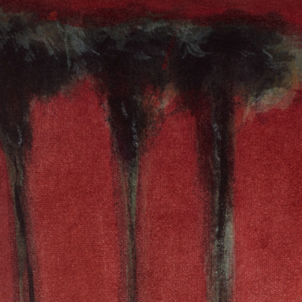 Housse Palmiers noirs