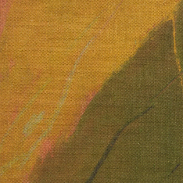 Applique Feuille sur la falaise