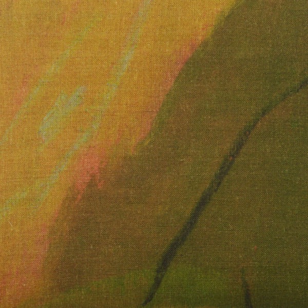 Feuille sur la falaise cover